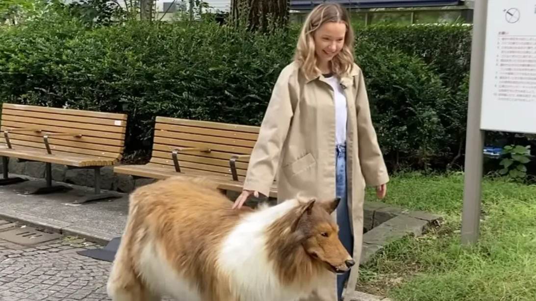 Japonês que gastou R$ 72 mil para se 'transformar' em cachorro faz primeiro passeio na rua; veja vídeo